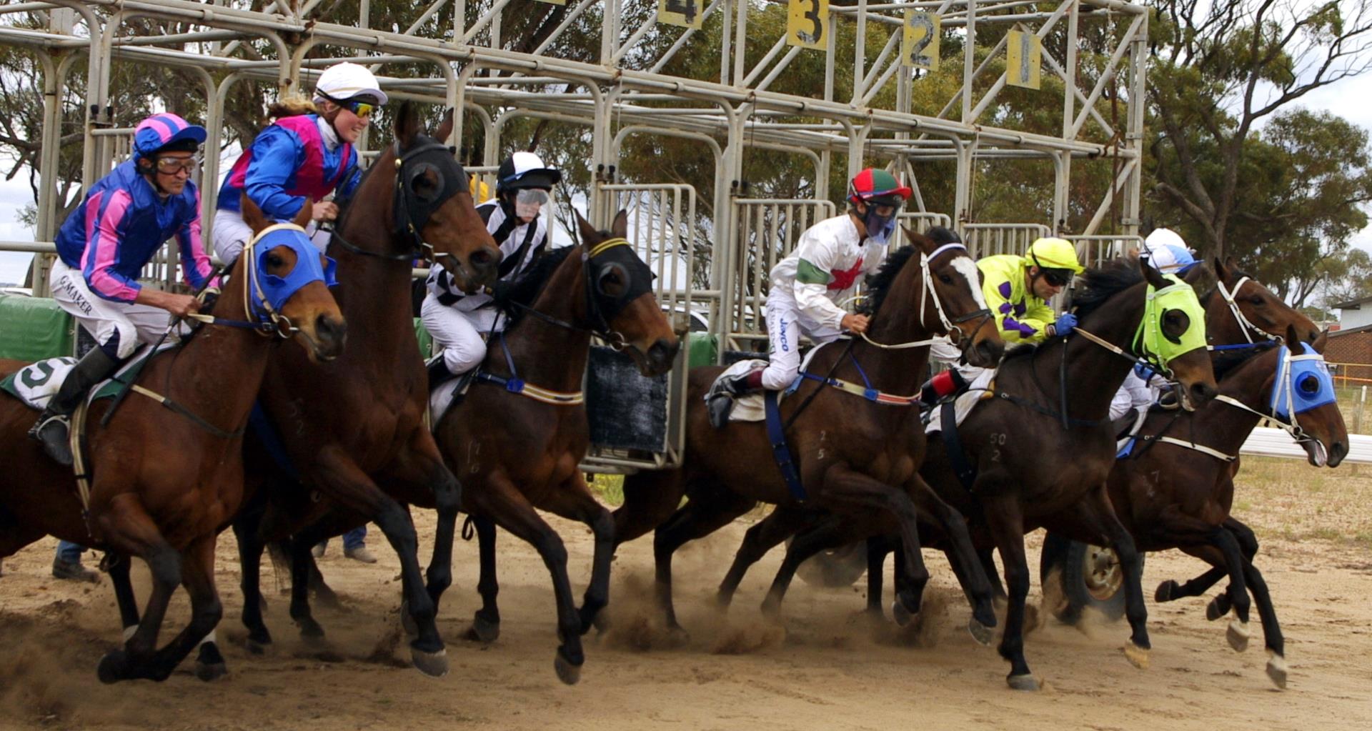 Sports & Recreation Image