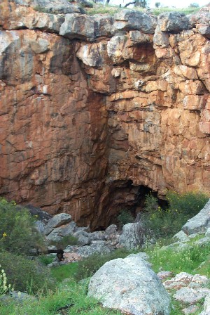 Watheroo National Park Image