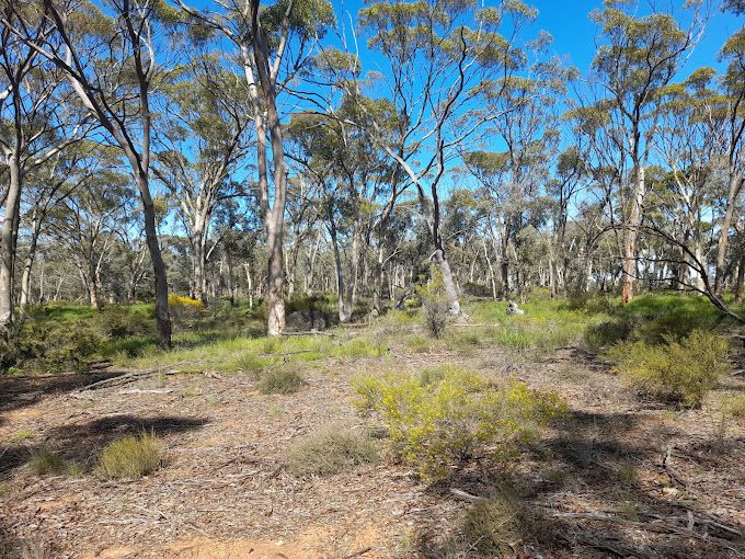 Koojan Reserve Image