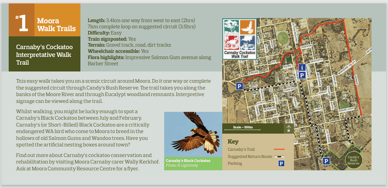 Map and info sheet for Carnaby's Cockatoo Interpretative Walk Trail