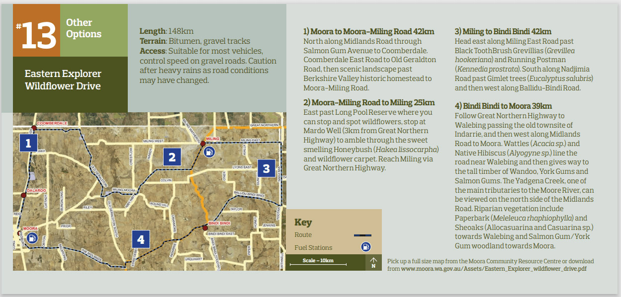 Easter Explorer Wildflower Drive map