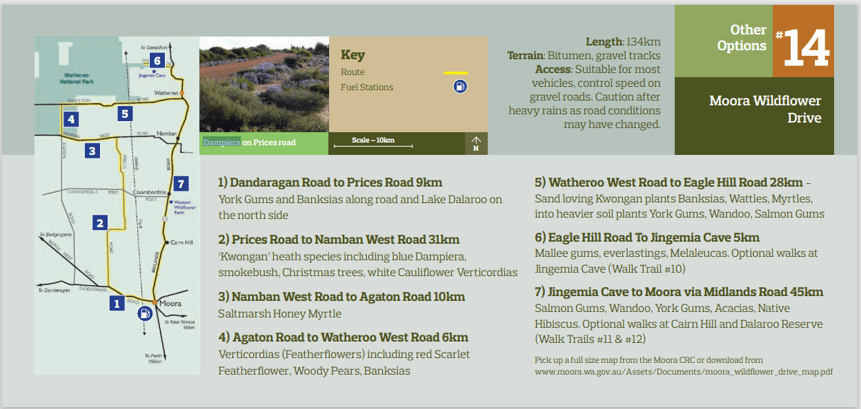 Moora Wildflower Drive