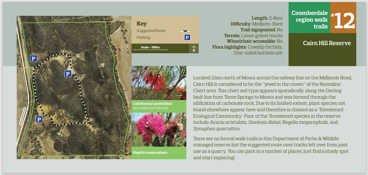 Cairn Hill Reserve Image