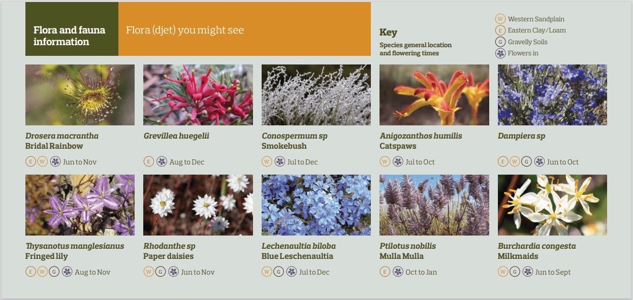 Flora & Fauna You Might See Image