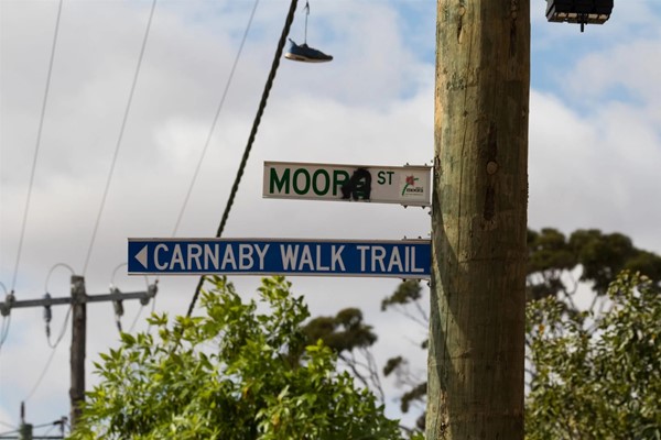 Moora Walk Trails: Carnaby - 0W3A9796
