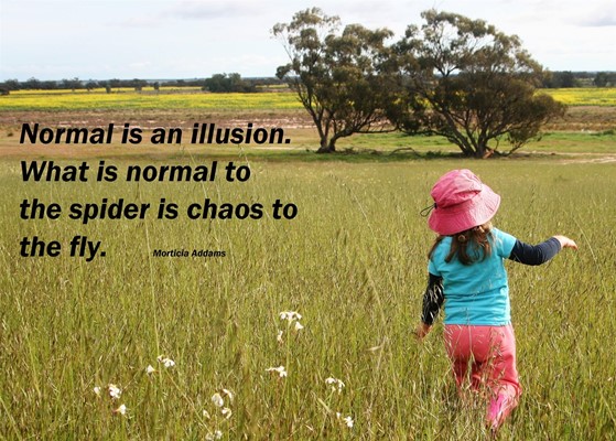 attune body mind soul Functional - Attune 2