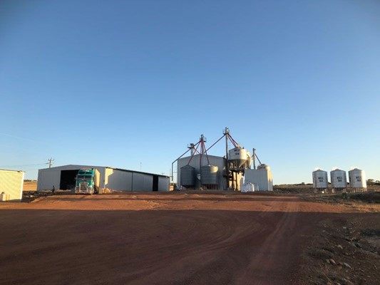 Australian Seed & Grain - asg 07