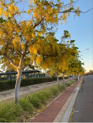 Image Gardiner Street