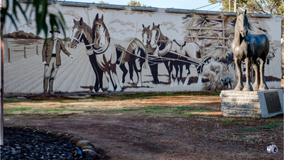 Media Library - Federation Park
