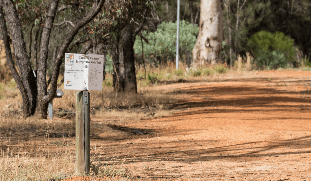 Moora Walk Trails: Carnaby Cockatoo Interpretive Walk