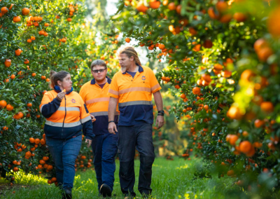 Moora Citrus