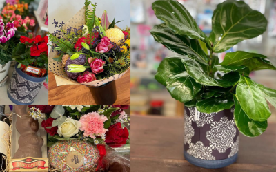 Boxes & Bouquets Florist & Party Supplies
