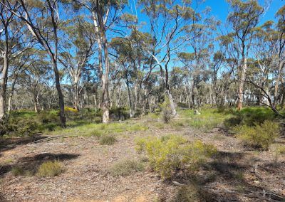 Koojan Walk Trails: Koojan Reserve