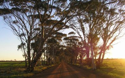 Moora Haybales Concert- 29th March 2025