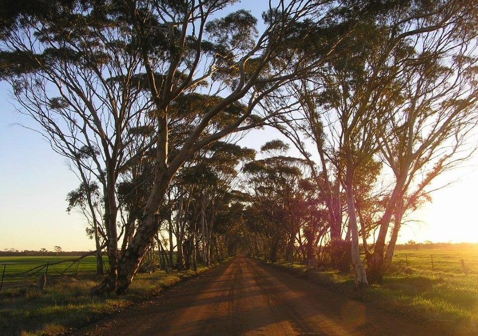 Moora Haybales Concert- 29th March 2025